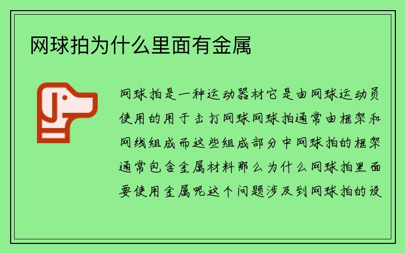 网球拍为什么里面有金属