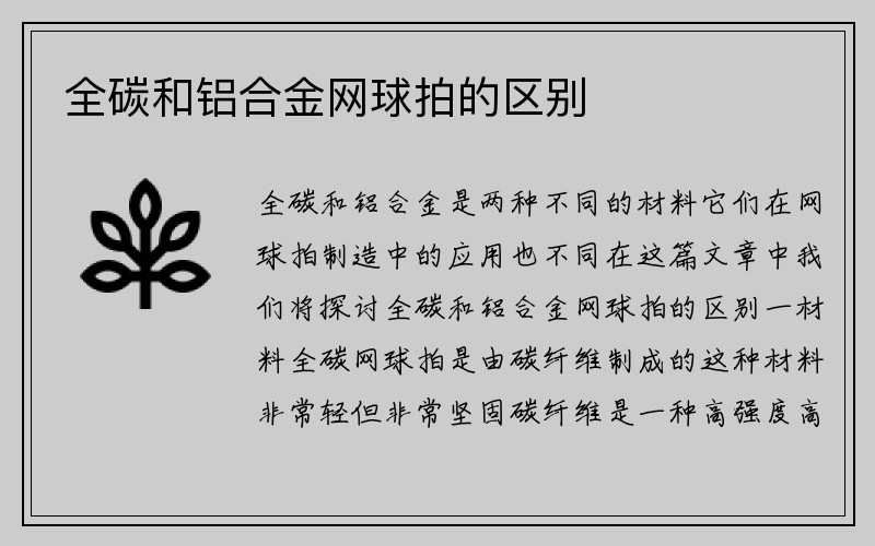 全碳和铝合金网球拍的区别