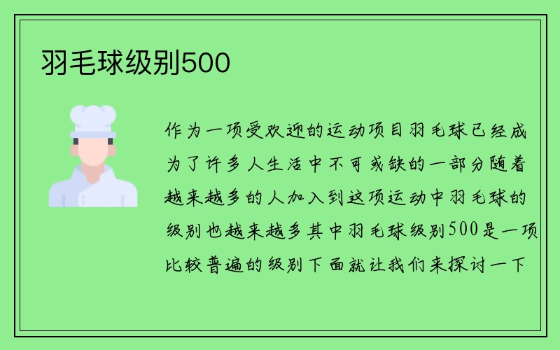 羽毛球级别500